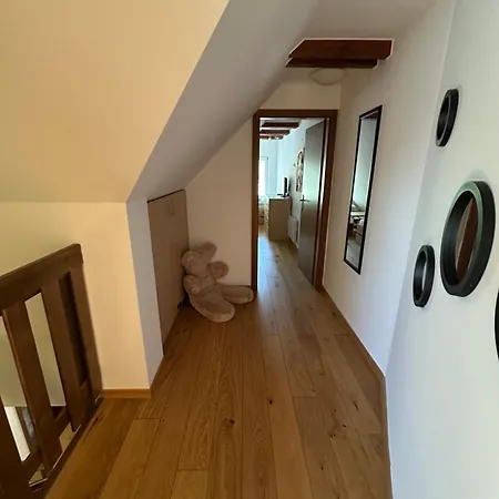 Mezonet Plesnivec * 도노발리