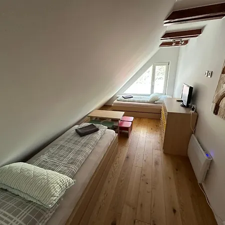 Apartment Mezonet Plesnivec